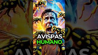 ¿Quién Ganará Humano Vs Avispas 🐝💥  La Batalla Más Peligrosa [upl. by Puklich]