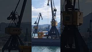 PORT CRANE GRAB working Unloading Limestone Unloading vessel process [upl. by Ydolem]