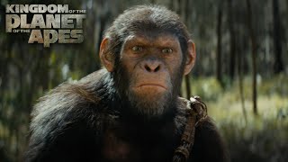 Kingdom of the Planet of the Apes  Exclusive Special Look  Experience It In IMAX® [upl. by Uhsoj]