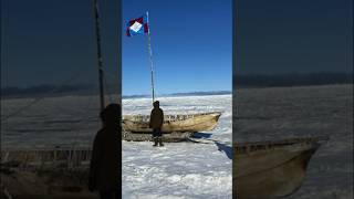 Utqiagvik Alaska formerly known as Barrow 🐋 The northernmost town in the USA alaska utqiagvik [upl. by Gothurd335]