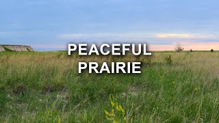 Peaceful Prairie to study and mediate to  8 hours relaxing nature [upl. by Siuluj]