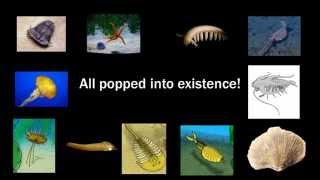 Evolution The Evidence  Episode 20 Cambrian explosion [upl. by Oretos59]