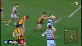 Joel Selwood teaches us the art of winning a free kick  FINALS 2013 [upl. by Yadsnil]