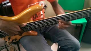 Bass solo on Alethinos Ampelos by Bright Gain [upl. by Lewap]