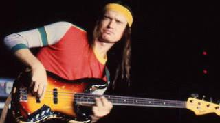 Jaco Pastorius Portrait Of Tracy Backingtrack [upl. by Kuhn]