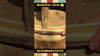 Wooden Chair Making Technique  kannada facts karnataka amazing youtubeshorts trendingshorts [upl. by Anerul]