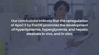 FoxO6 and Hepatic Steatosis in Aged Rats  AgingUS [upl. by Akimit]