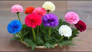 Growing and Propagating Carnations Tips on Pinching Blooming and Dividing for Optimal Plant [upl. by Nossyla]