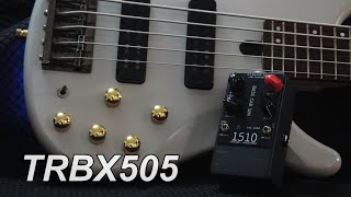 1510  Analog Bass Cab Sim w Yamaha TRBX505  passive mode [upl. by Spielman]