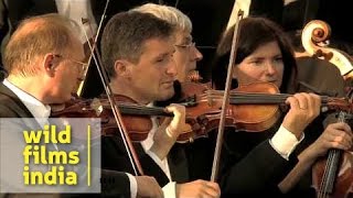 Trumpet Concerto Haydn 2nd movement by Andreas Ottl [upl. by Krever]