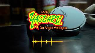 TENDRAS QUE LLORAR x YAGUARU x DJ Gabo Feat DJ Marian Sound x Cumbias Remix [upl. by Alisun]