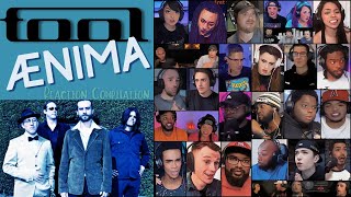 REACTION COMPILATION  Tool  Ænima Aenima  FIRST TIME HEARING Mashup [upl. by Lorenzo]