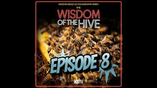 Episode 8 Beekeeping Around the World [upl. by Atul338]