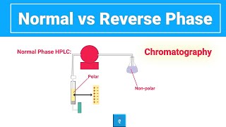 What is Reverse Phase vs Normal HPL Chromatography [upl. by Sevart]