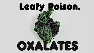 What Are Oxalates  Uncovering The Leafy Poison [upl. by Okiron]