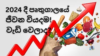 2024 පෘතුගාලයේ ජීවන වියදම Portugal Living Cost 2024 [upl. by Ateuqal]