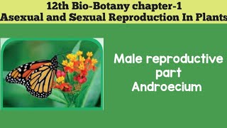 12th biobotany chapter1 Asexual amp Sexual Reproduction In PlantsMALE REPRODUCTIVE PART ANDROECIUM [upl. by Nidak]