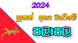 හූනන් ඇග වැටීමේ පලාපල 2024  hunan aga wetime palapala  gecko prediction  hunan agta wetima [upl. by Nuaj]