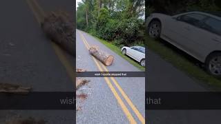 The log just kept on going😱😂 carcrashes treedoctor fypシ゚viral viralshort insane wow fyp [upl. by Einnep147]