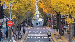 【洋楽playlist】 部屋でかけ流したいお洒落な曲  早起きした朝に聞く気持いい洋楽  🍂 秋の朝にリラックスできる音楽プレイリスト  穏やかなひとときを楽しむ洋楽 作業用BGM [upl. by Stephanus]