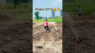 आदत king piston 2211👑🔥💯like share subscribe [upl. by Oemac798]