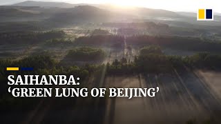 China transforms barren Saihanba into one of the world’s largest manmade forests [upl. by Trebla]