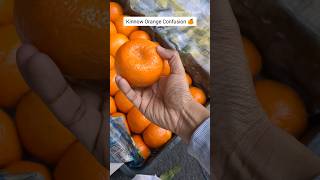 Badhiya Santra dekhna nahi aata 🥹 ytshorts streetfood orange [upl. by Ketty]