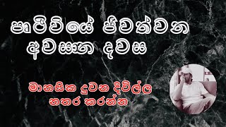 පෘථිවියේ ජීවත්වන අවසාන දවස  මානසික දුවන දිවිල්ල නතර කරන්න  අධ්‍යාත්මක ගමන secretoflife [upl. by Jd814]