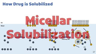 Micellar Solubilization [upl. by Nyladnohr476]