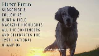 125th National Champions for Field Trials and Bird Dogs  Hunt amp Field Magazine [upl. by Fagaly]