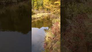 Pure Michigan on the Little Muskegon River [upl. by Nero]