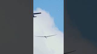 ✈️ Surprising Facts About Gliders [upl. by Mcgannon]