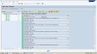 SAP Basis User Administration [upl. by Arikahc]