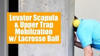 Upper traps amp levator scapula self myofascial release with lacrosse ball [upl. by Rehc903]