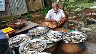 নাগরপুর পাইকারি মাছের বাজার  নাগরপুর টাঙ্গাইল  With Palash [upl. by Yatnwahs481]