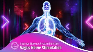 Vagus Nerve Stimulation Improve Parasympathetic Nervous System Function Calming Meditation Music [upl. by Coy]