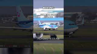 Airbus and Boeing stall alarms avaition landing planecrash subscribe crash avgeek airbus [upl. by Ninnahc477]