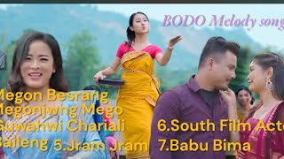 BODO Melody songs [upl. by Ameerak29]