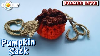 Pumpkin Circle Sack  LIVE Crochet Workshop  Nov 9 2024 [upl. by Pradeep263]