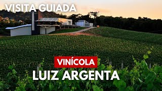 Explorando os Sabores da Vinícola Luiz Argenta Uma Viagem pelos Vinhedos e Vinhos Exclusivos [upl. by Elauqsap280]