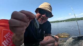 What size hooks to use to catch Porgy Hook size porgy scup hi low rig set up [upl. by Krm]