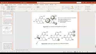 Chimie Thérapeutique  RSA [upl. by Ecaidnac]