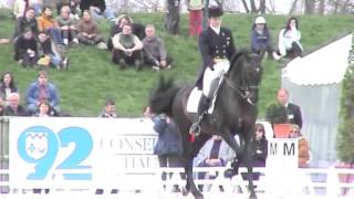 Catherine Henriquet et Carinho des Noes RLM Jardy 2006 [upl. by Ennavoj392]