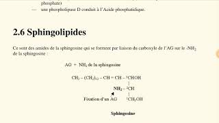 Cours des lipides biochimie structurale الدارجة partie 9 la fin [upl. by Kozloski]