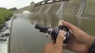 Saugeye and Buffalo Carp Fishing at Hoover Dam [upl. by Leonard]