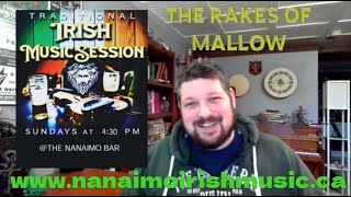 Practice Irish Session for The Rakes of Mallow Polka  Episode 17 [upl. by Miran511]