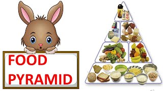 FOOD PYRAMID  HEALTHY DIET  HEALTHY PLATE  SCIENCE VIDEO FOR CHILDREN [upl. by Chapel189]