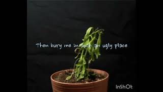 Baby Bugs  Porcelain  Lyric Video [upl. by Greenburg]