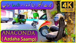 حیرت انگیز ایناکونڈا 🐍 اژدھا سانپ 😱 Anaconda Saamp Jump Scare VFX 🔮 4K [upl. by Borg]