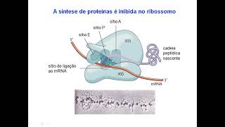 Aula 2  Agentes Antibacterianos [upl. by Arrahs]